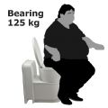 RV Flush Toilet - 71C44A